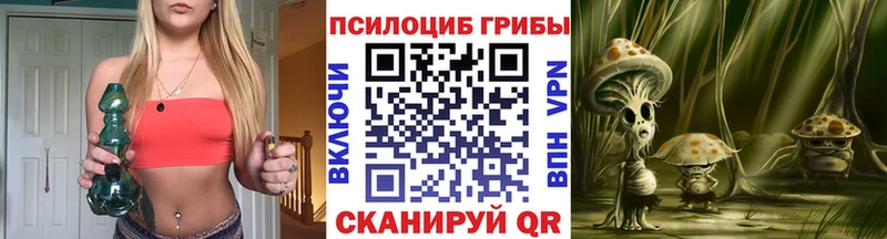 маркетплейс телеграм  MEGA ССЫЛКА  Ишим  что такое наркотик  Галлюциногенные грибы Psilocybine cubensis 